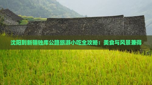 沈阳到新疆独库公路旅游小吃全攻略：美食与风景兼得