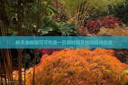 秋天去新疆可可托海一日游时间及旅游路线攻略