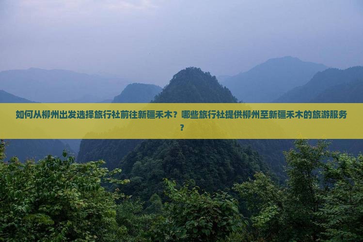 如何从柳州出发选择旅行社前往新疆禾木？哪些旅行社提供柳州至新疆禾木的旅游服务？