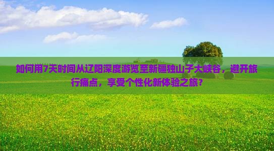 如何用7天时间从辽阳深度游览至新疆独山子大峡谷，避开旅行痛点，享受个性化新体验之旅？