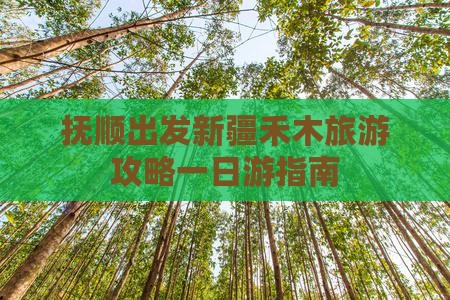 抚顺出发新疆禾木旅游攻略一日游指南
