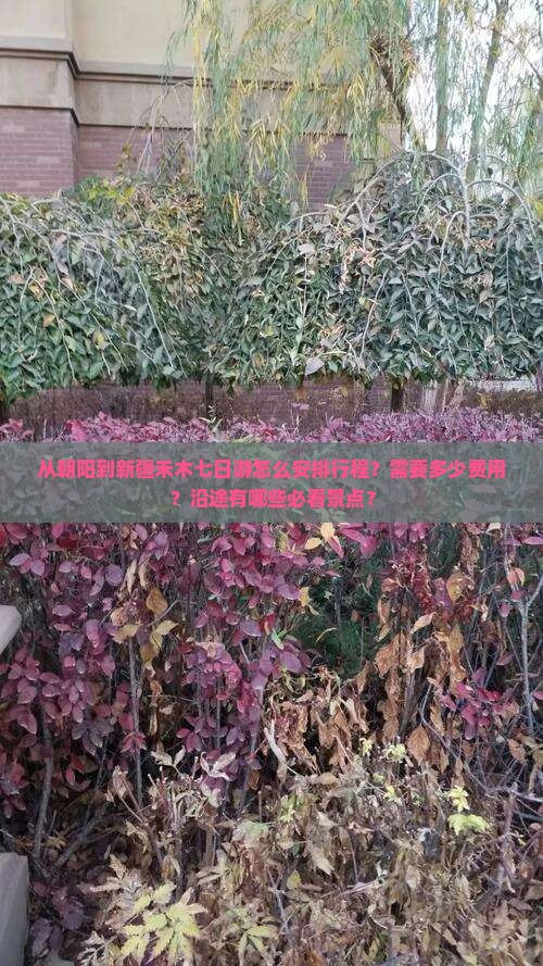 从朝阳到新疆禾木七日游怎么安排行程？需要多少费用？沿途有哪些必看景点？