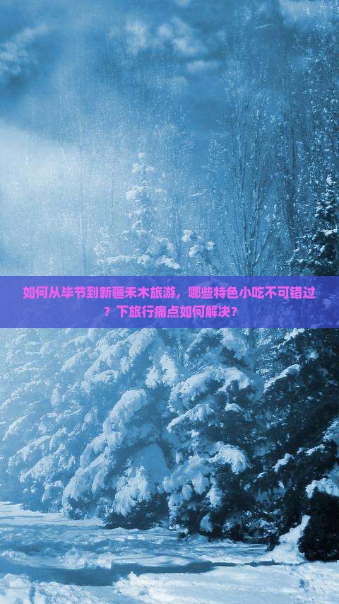 如何从毕节到新疆禾木旅游，哪些特色小吃不可错过？下旅行痛点如何解决？