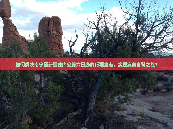 如何解决南宁至新疆独库公路六日游的行程痛点，实现完美自驾之旅？
