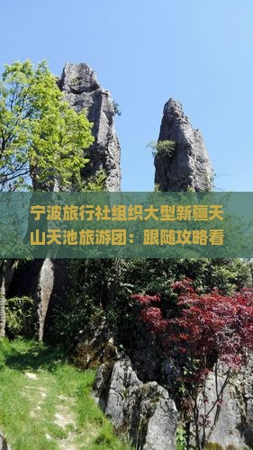 宁波旅行社组织大型新疆天山天池旅游团：跟随攻略看看天山天池的壮丽风光