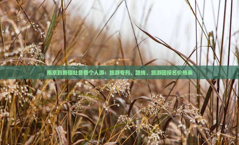 南京到新疆吐鲁番个人游：旅游专列、路线、旅游团报名价格表
