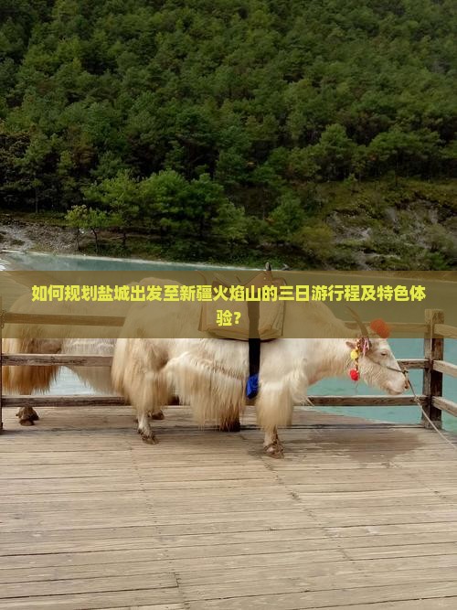 如何规划盐城出发至新疆火焰山的三日游行程及特色体验？