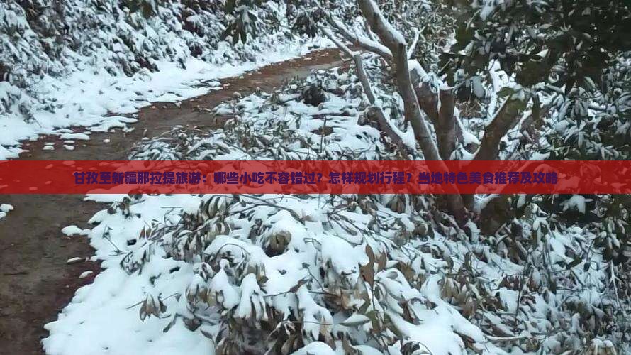 甘孜至新疆那拉提旅游：哪些小吃不容错过？怎样规划行程？当地特色美食推荐及攻略