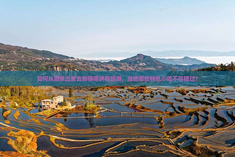 如何从酒泉出发去新疆喀纳斯旅游，当地哪些特色小吃不容错过？