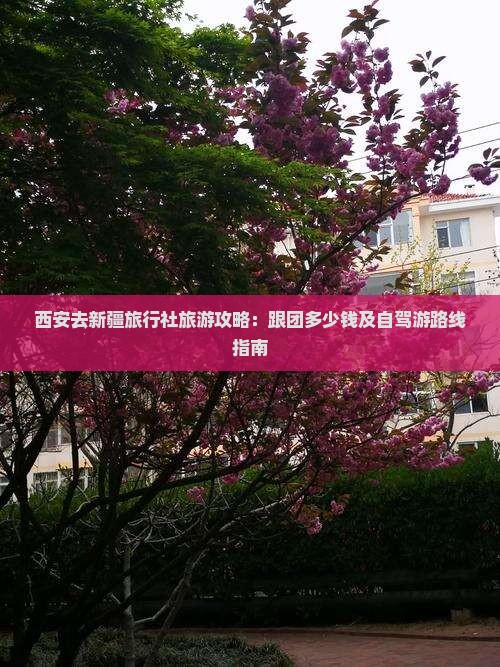 西安去新疆旅行社旅游攻略：跟团多少钱及自驾游路线指南