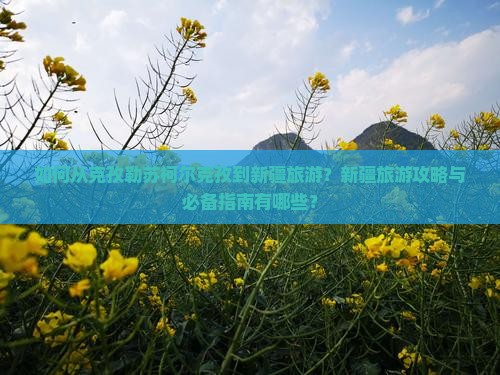 如何从克孜勒苏柯尔克孜到新疆旅游？新疆旅游攻略与必备指南有哪些？