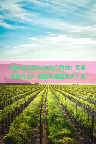 延边去新疆火焰山六日游？需要准备什么？沿途有哪些景点？费用大概是多少？