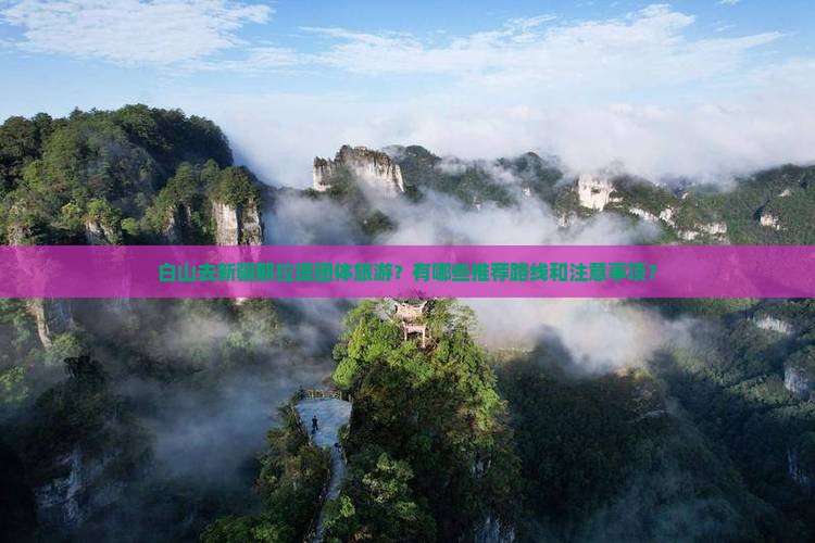 白山去新疆那拉提团体旅游？有哪些推荐路线和注意事项？