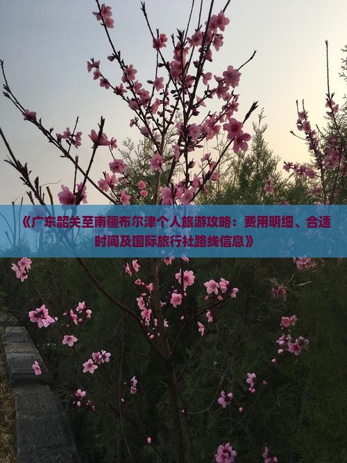 《广东韶关至南疆布尔津个人旅游攻略：费用明细、合适时间及国际旅行社路线信息》