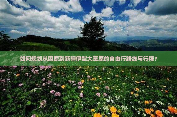 如何规划从固原到新疆伊犁大草原的自由行路线与行程？