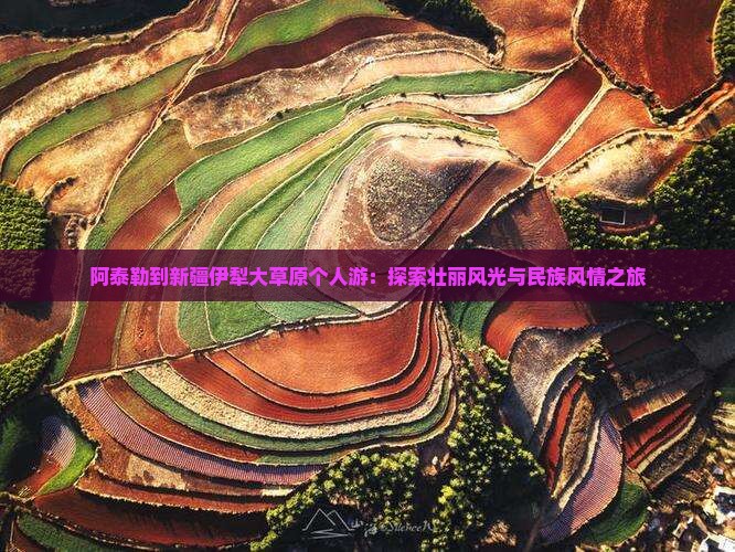 阿泰勒到新疆伊犁大草原个人游：探索壮丽风光与民族风情之旅