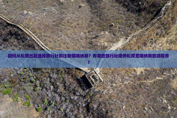 如何从松原出发选择旅行社前往新疆喀纳斯？有哪些旅行社提供松原至喀纳斯旅游服务？
