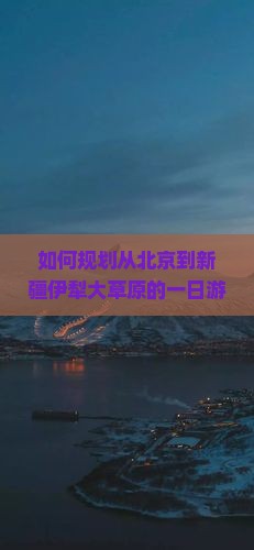 如何规划从北京到新疆伊犁大草原的一日游行程与交通方式？