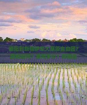德阳到新疆伊犁大草原自由团？路线如何？费用多少？有哪些景点推荐？