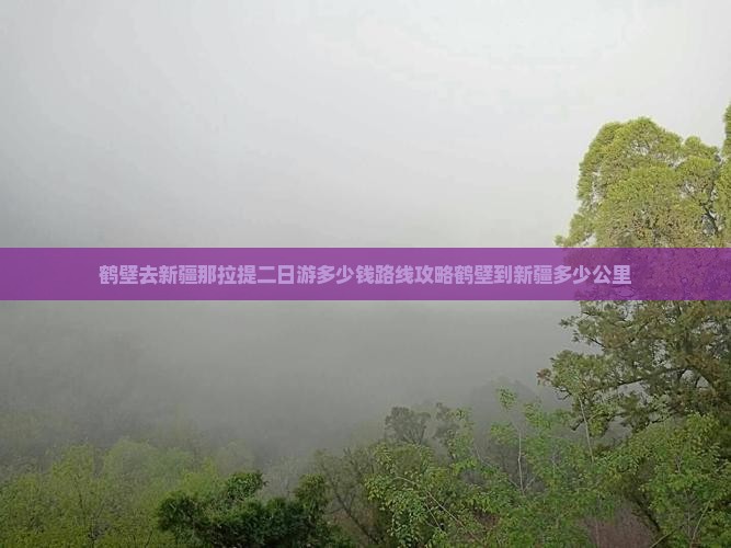 鹤壁去新疆那拉提二日游多少钱路线攻略鹤壁到新疆多少公里