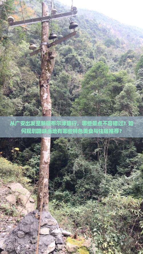 从广安出发至新疆布尔津旅行，哪些景点不容错过？如何规划路峡当地有哪些特色美食与住宿推荐？