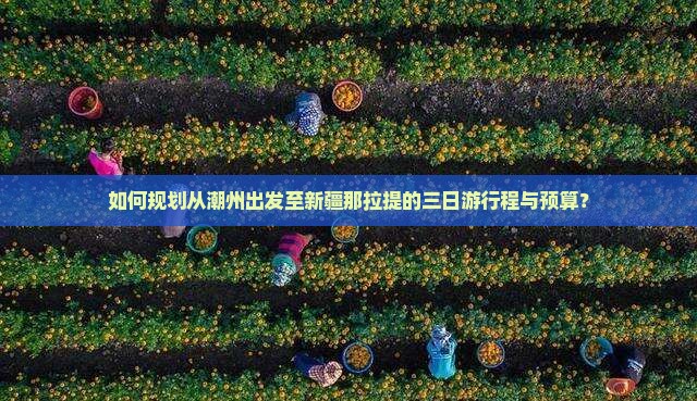 如何规划从潮州出发至新疆那拉提的三日游行程与预算？