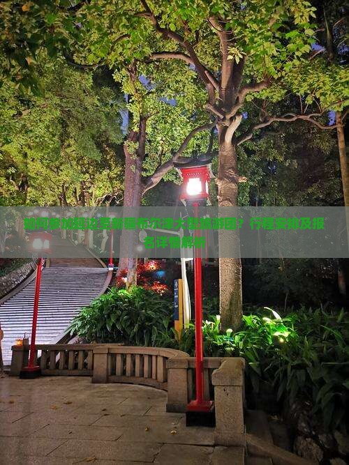 如何参加延边至新疆布尔津大型旅游团？行程安排及报名详情解析