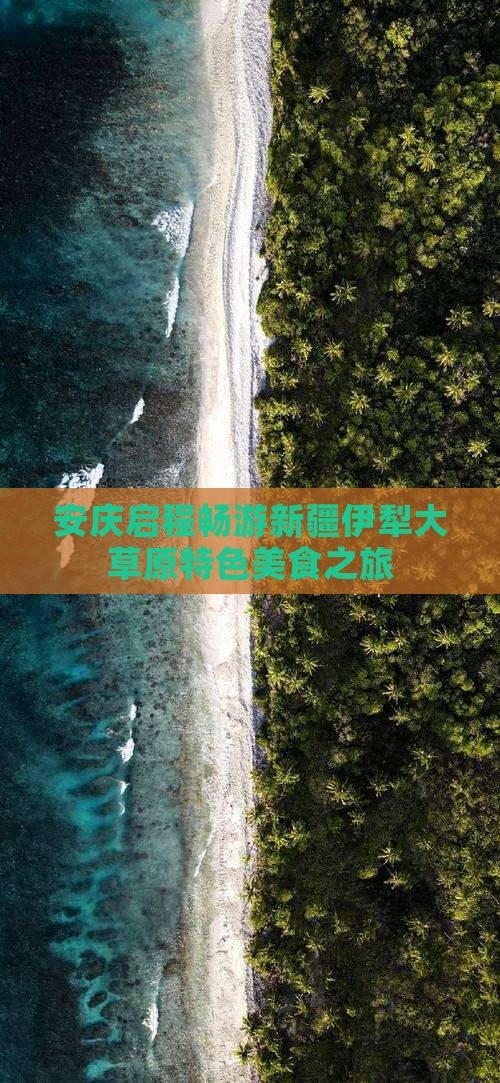 安庆启程畅游新疆伊犁大草原特色美食之旅