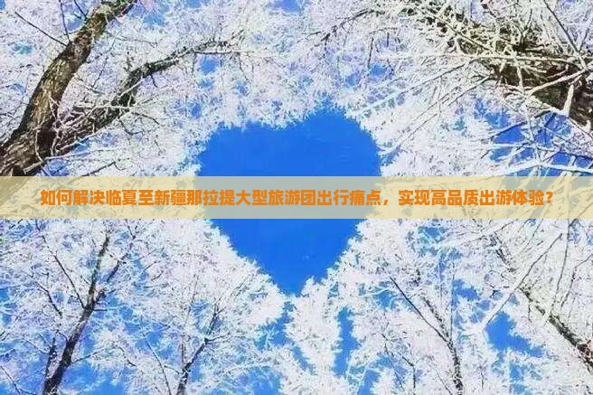 如何解决临夏至新疆那拉提大型旅游团出行痛点，实现高品质出游体验？