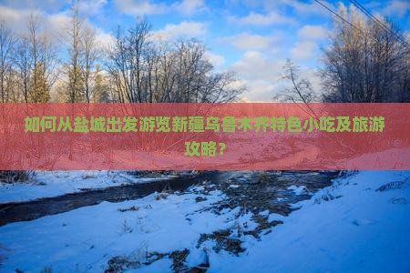 如何从盐城出发游览新疆乌鲁木齐特色小吃及旅游攻略？