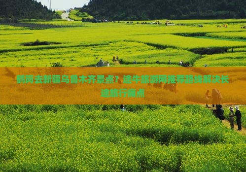 鹤岗去新疆乌鲁木齐景点？途牛旅游网推荐路线解决长途旅行痛点
