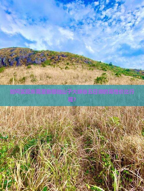 如何实现东莞至新疆独山子大峡谷五日游的高性价比行程？