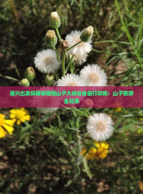 嘉兴出发探秘新疆独山子大峡谷自由行攻略：山子旅游全纪录