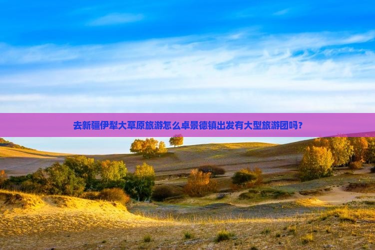 去新疆伊犁大草原旅游怎么卓景德镇出发有大型旅游团吗？