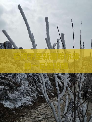 石河子至新疆布尔津的一日游攻略