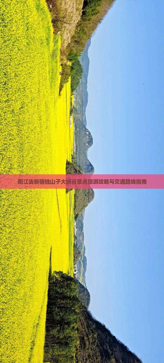 阳江去新疆独山子大峡谷景点旅游攻略与交通路线指南