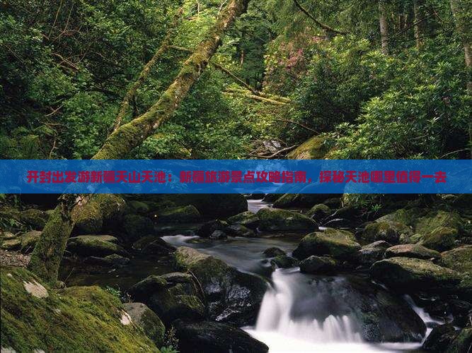 开封出发游新疆天山天池：新疆旅游景点攻略指南，探秘天池哪里值得一去