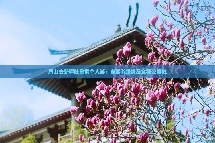 眉山去新疆吐鲁番个人游：自驾游路线及全程公里数