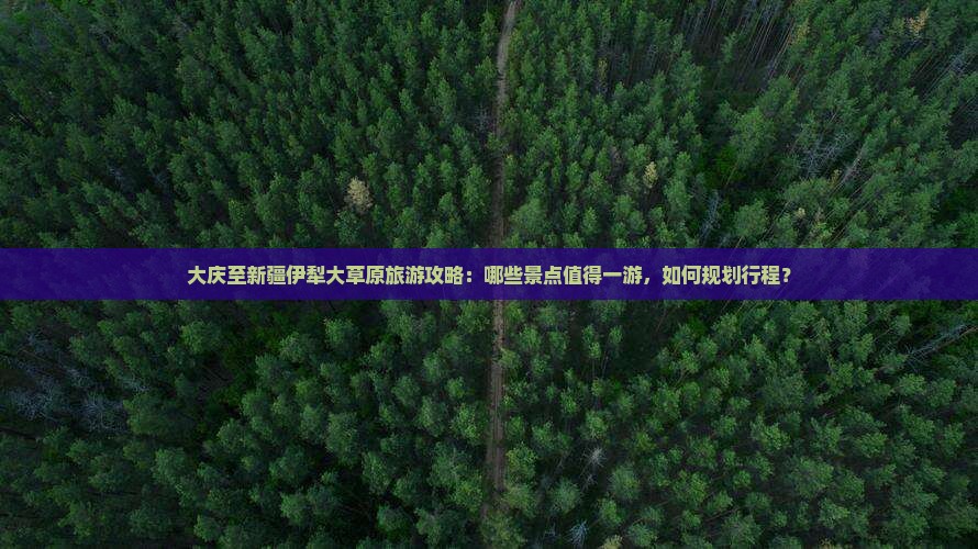 大庆至新疆伊犁大草原旅游攻略：哪些景点值得一游，如何规划行程？