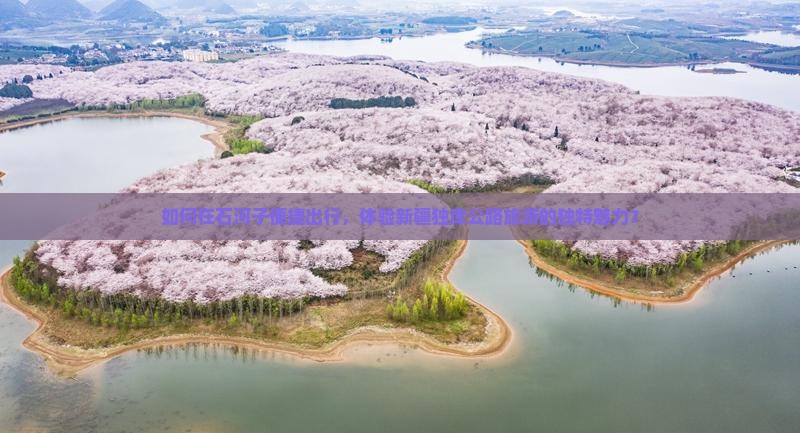 如何在石河子便捷出行，体验新疆独库公路旅游的独特魅力？