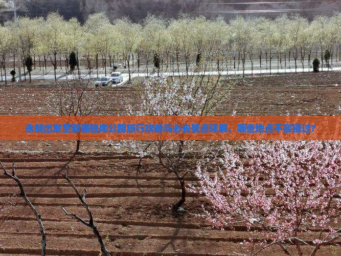 永新出发至新疆独库公路旅行攻略与必去景点详解，哪些地点不容错过？