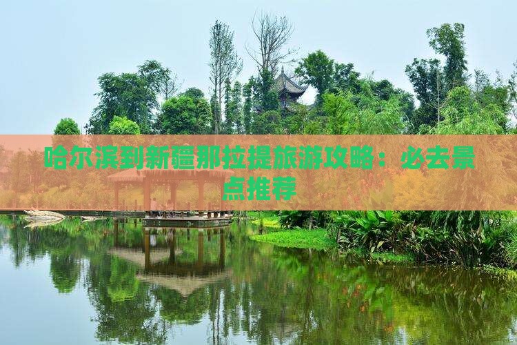 哈尔滨到新疆那拉提旅游攻略：必去景点推荐