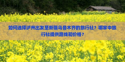 如何选择泸州出发至新疆乌鲁木齐的旅行社？哪家中旅行社提供路线和价格？