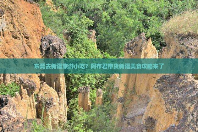 东莞去新疆旅游小吃？阿布君带货新疆美食攻略来了