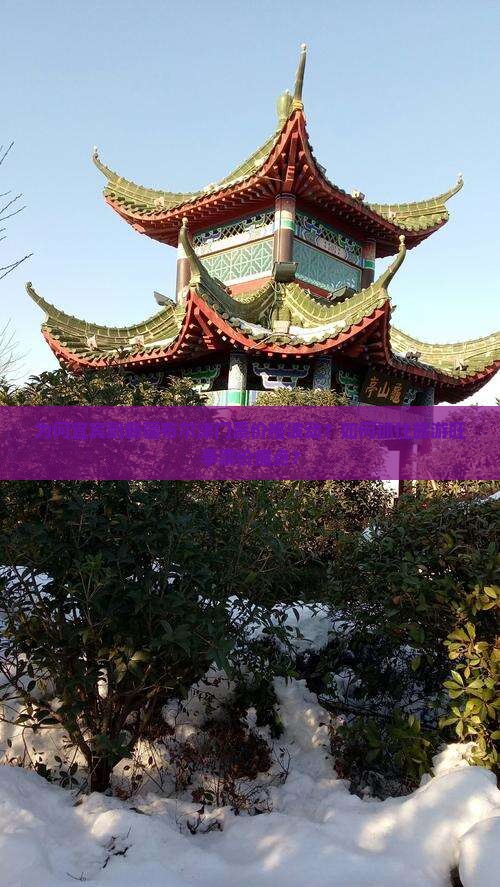为何宜宾到新疆布尔津门票价格波动？如何抓住旅游旺季票价痛点？
