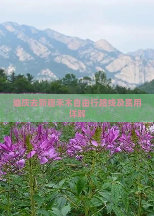 迪庆去新疆禾木自由行路线及费用详解