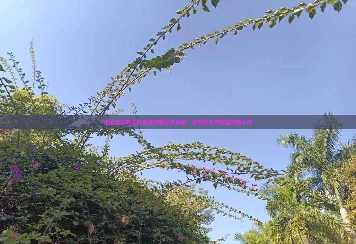 舟山出发新疆吐鲁番旅游景点攻略：必游景点与新疆旅游心得