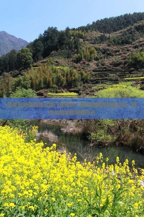 重庆到新疆独库公路门票贵吗？自驾游爱好者看过来，独库公路成旅游新热点