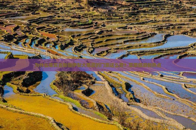 为什么来宾去新疆伊犁大草原的门票这么贵？草原旅游新热点