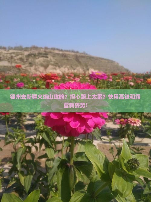 锦州去新疆火焰山攻略？担心路上太累？快用高铁和露营新姿势！